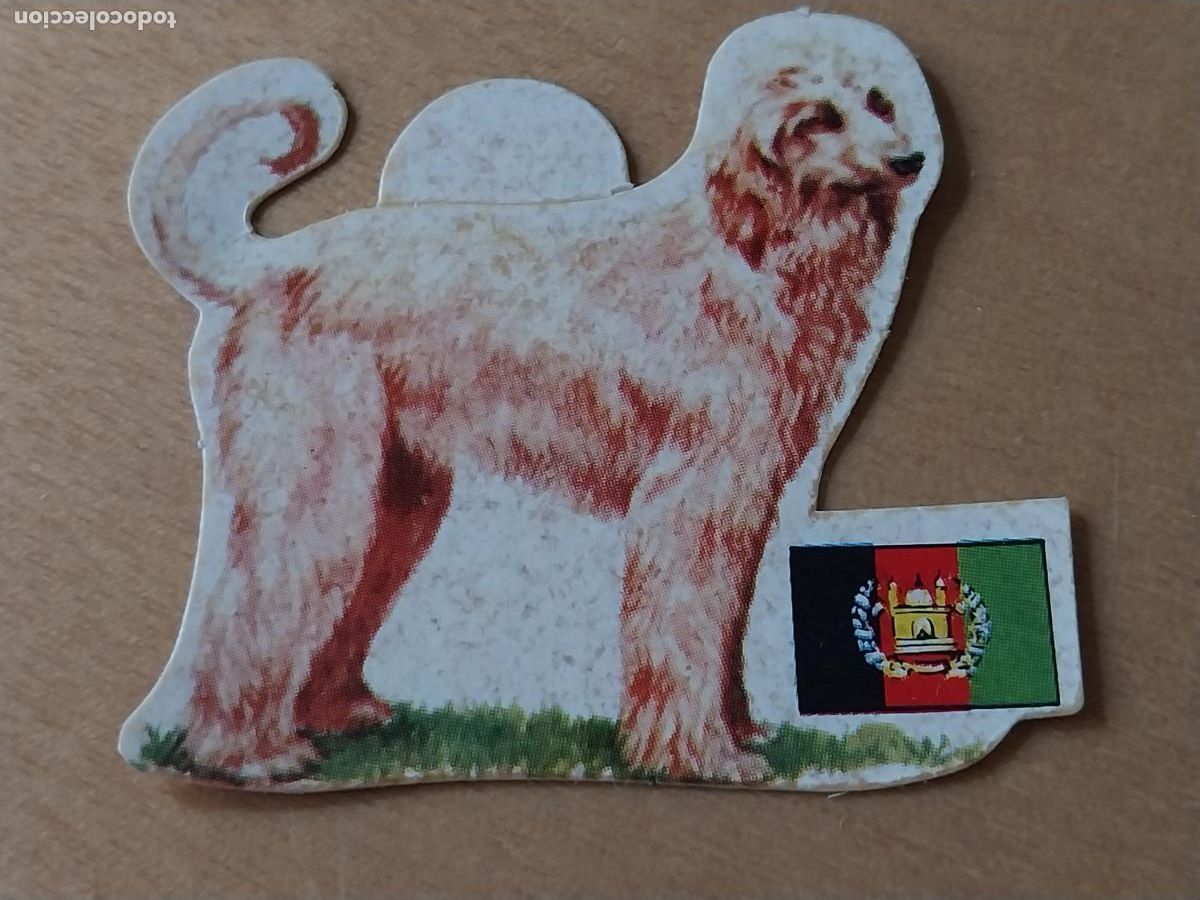 Coleccionismo: PANRICO GALGO AFGHANO * * N&ordm; 66 CROMO SIN PEGAR NUNCA TROQUELADO PERROS A&Ntilde;OS 70 PASTELITOS PROMO