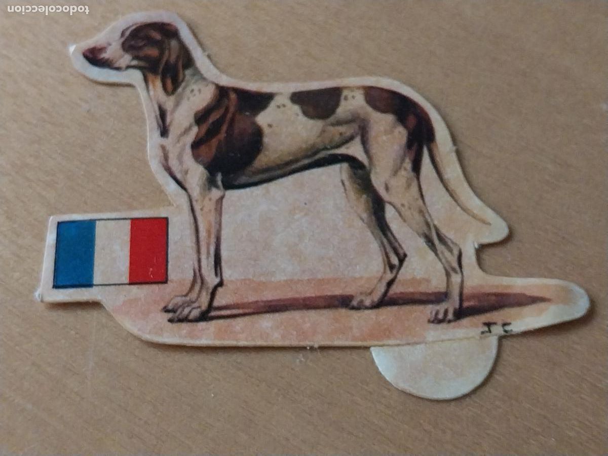 Coleccionismo: PANRICO BRAQUE DUPUY * * N&ordm; 6 CROMO SIN PEGAR NUNCA TROQUELADO PERROS A&Ntilde;OS 70 PASTELITOS PROMO