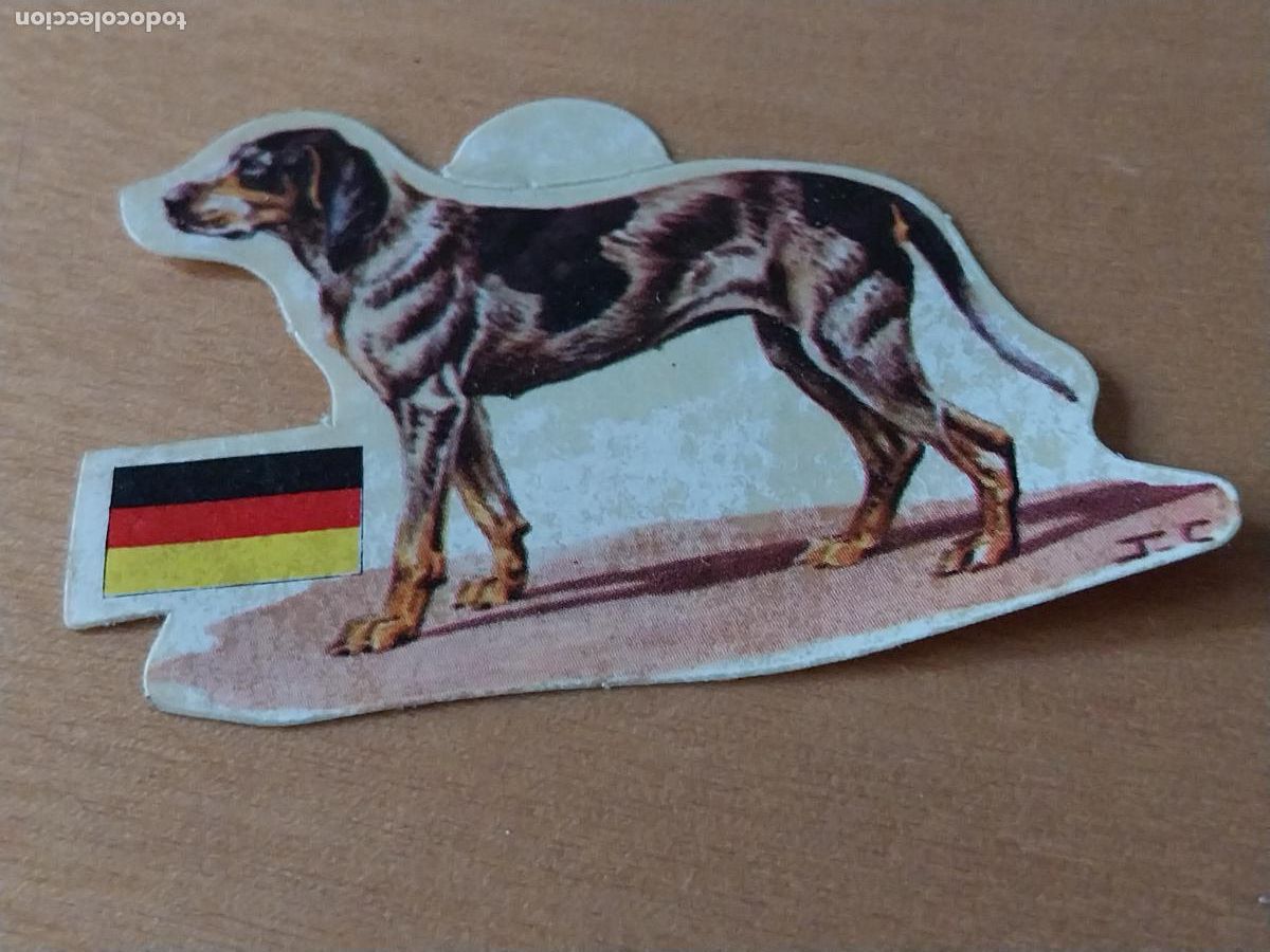 Coleccionismo: PANRICO BRAQUE WURTENBERG * * N&ordm; 86 CROMO SIN PEGAR NUNCA TROQUELADO PERROS A&Ntilde;OS 70 PASTELITOS PROMO