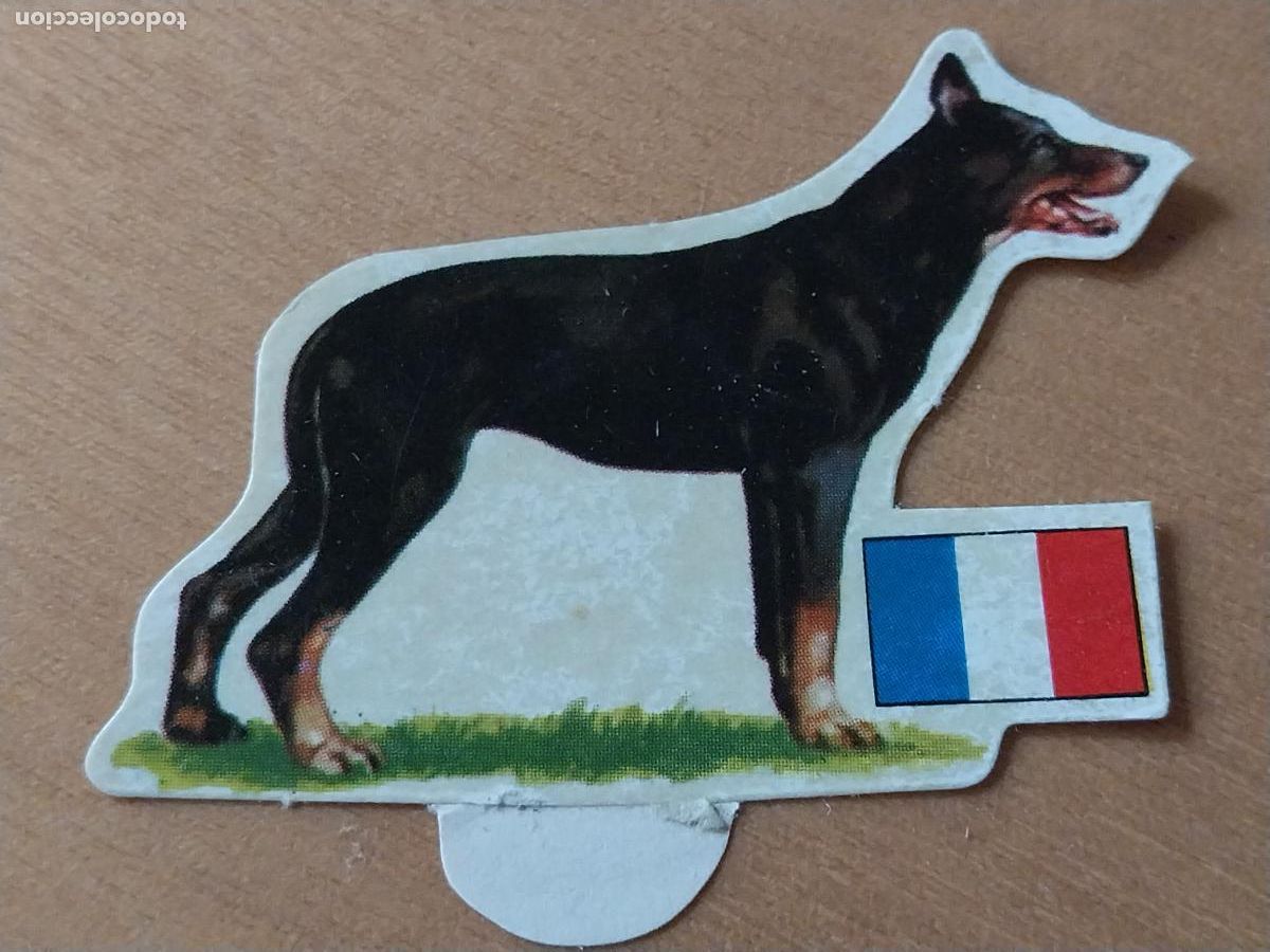 Coleccionismo: PANRICO PASTOR BEAUCE *-* N&ordm; 38 CROMO SIN PEGAR NUNCA TROQUELADO PERROS A&Ntilde;OS 70 PASTELITOS PROMO