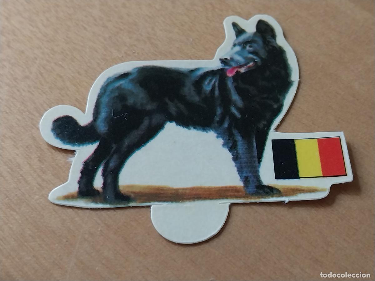 Coleccionismo: PANRICO GROENENDAEL *-* N&ordm; 11 CROMO SIN PEGAR NUNCA TROQUELADO PERROS A&Ntilde;OS 70 PASTELITOS PROMO