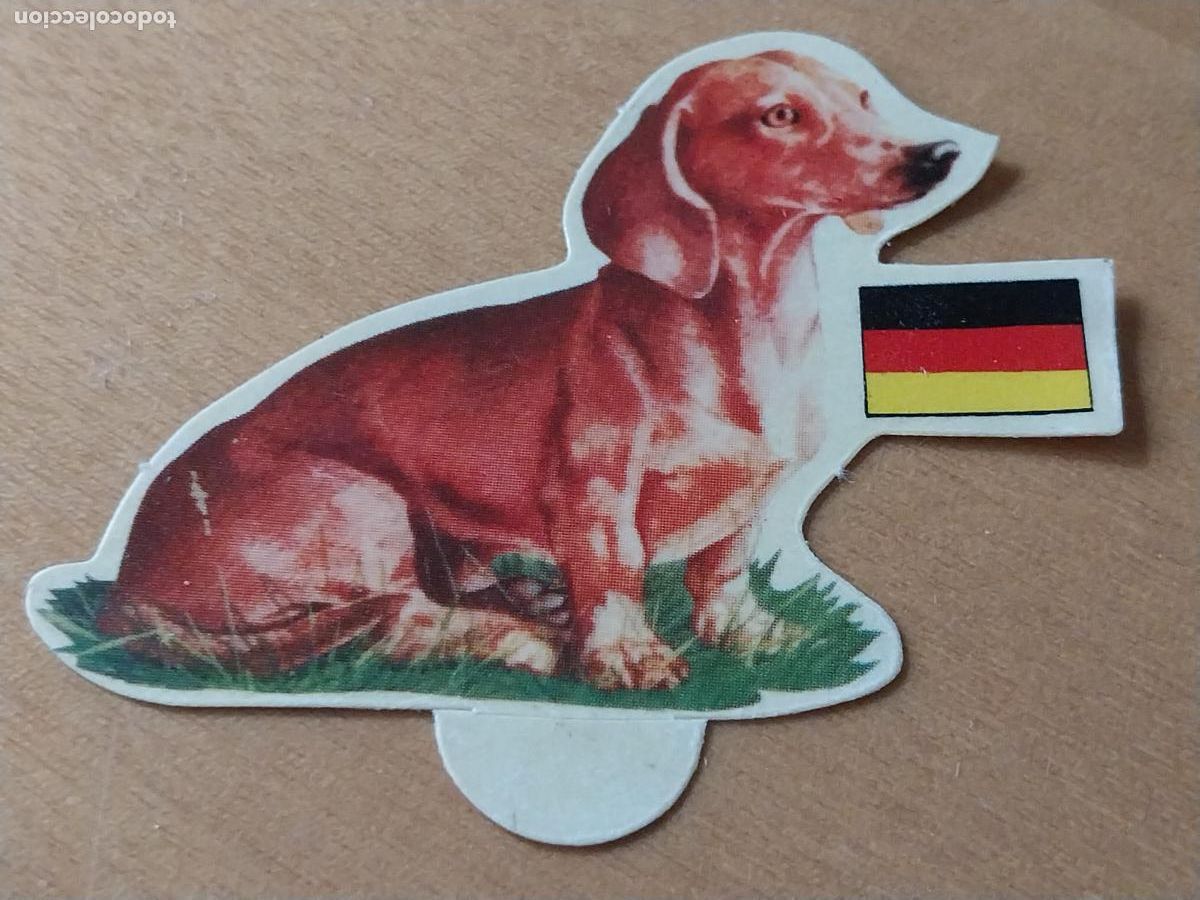 Coleccionismo: PANRICO TECKEL *-* N&ordm; 82 CROMO SIN PEGAR NUNCA TROQUELADO PERROS A&Ntilde;OS 70 PASTELITOS PROMO