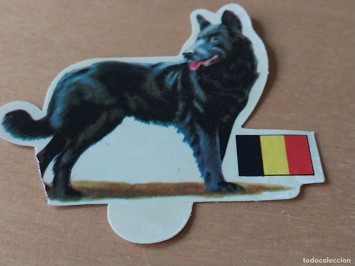 Coleccionismo: PANRICO GROENENDEL *--* N&ordm; 11 CROMO SIN PEGAR NUNCA TROQUELADO PERROS A&Ntilde;OS 70 PASTELITOS PROMO