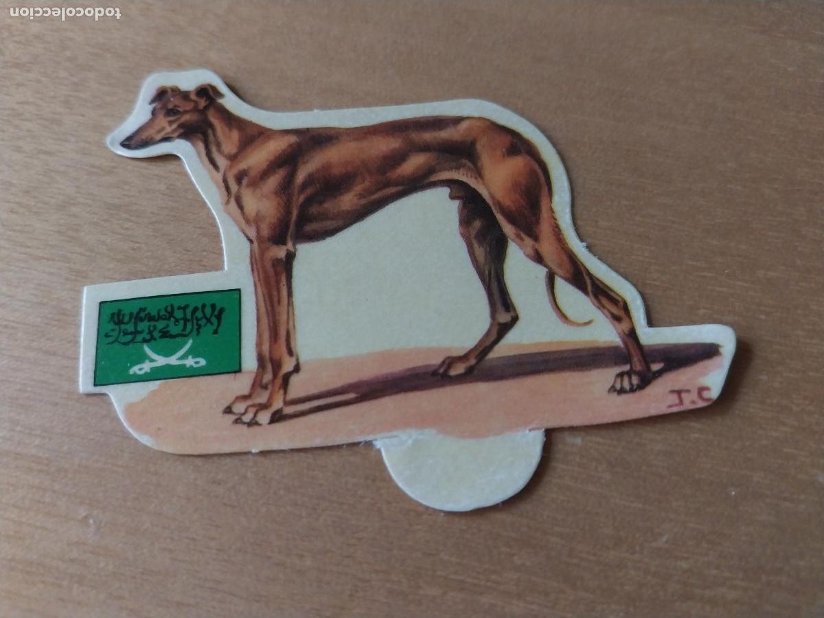 Coleccionismo: PANRICO TERRIER ESCOCES *--* N&ordm; 80 CROMO SIN PEGAR NUNCA TROQUELADO PERROS A&Ntilde;OS 70 PASTELITOS PROMO