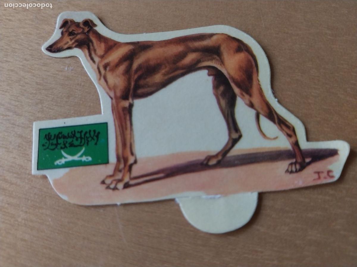 Coleccionismo: PANRICO GALGO ARABE *--* N&ordm; 51 CROMO SIN PEGAR NUNCA TROQUELADO PERROS A&Ntilde;OS 70 PASTELITOS PROMO
