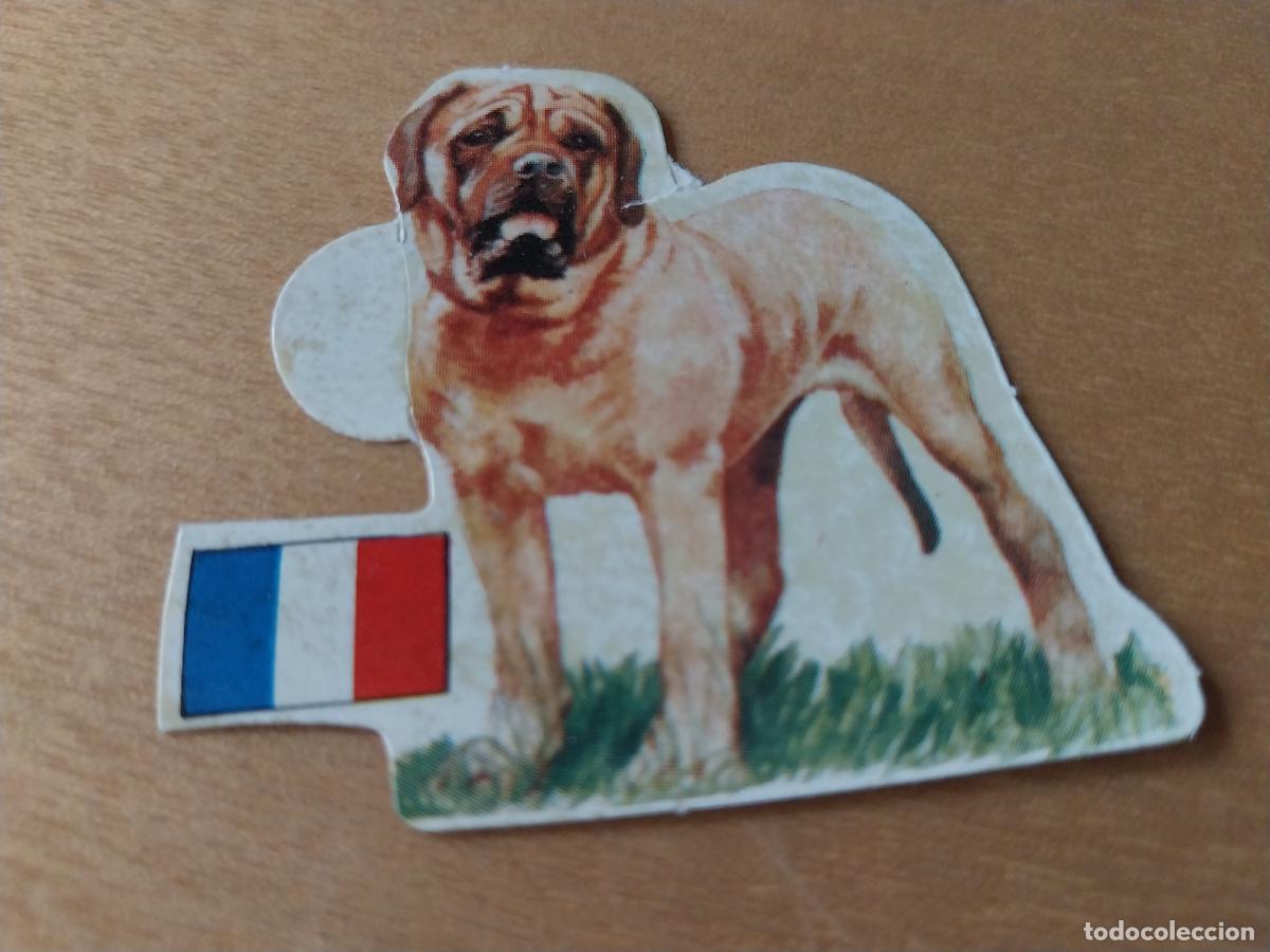 Coleccionismo: PANRICO DOGO BURDEOS *--* N&ordm; 57 CROMO SIN PEGAR NUNCA TROQUELADO PERROS A&Ntilde;OS 70 PASTELITOS PROMO