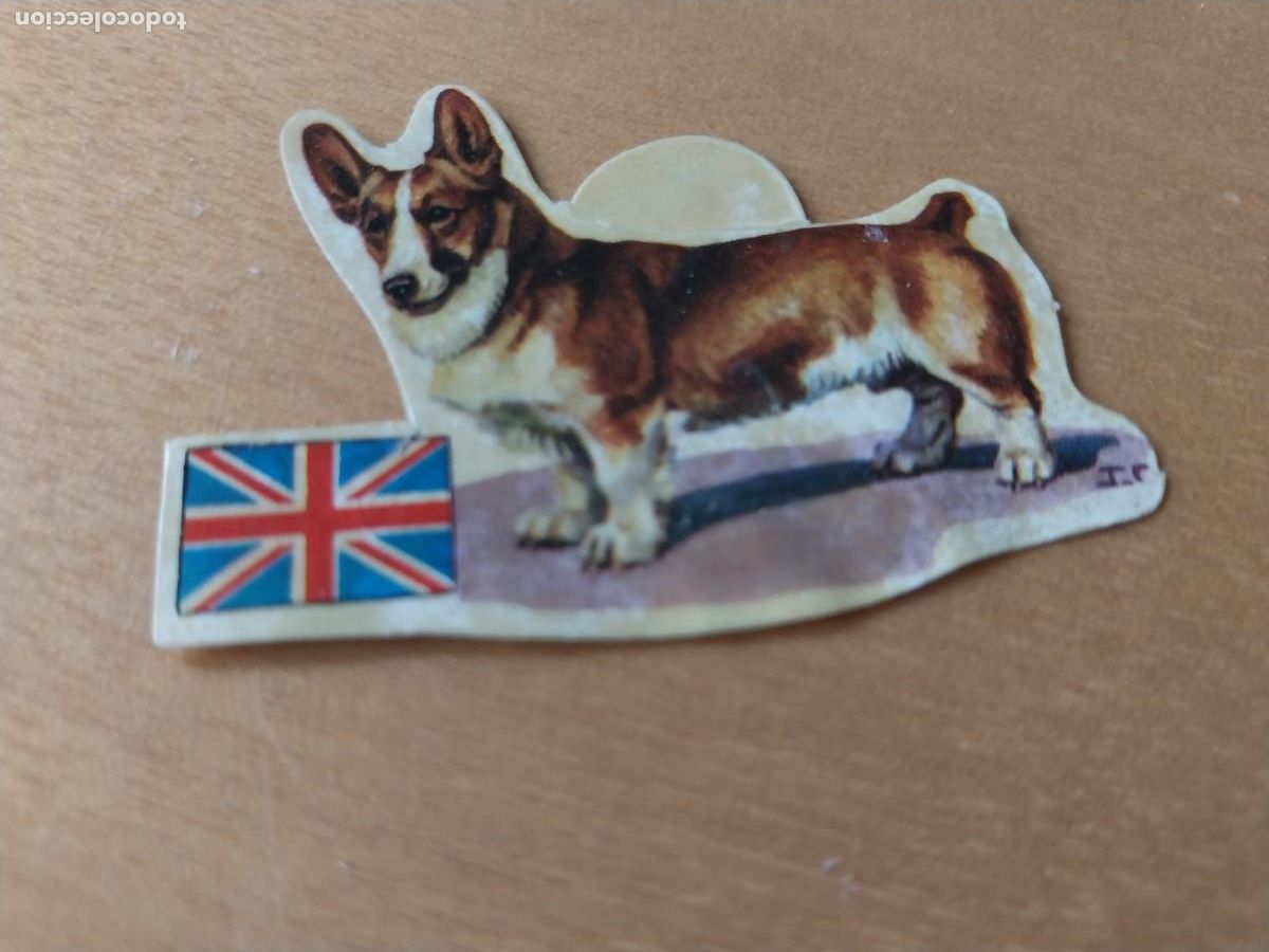 Coleccionismo: PANRICO CORGIS *--* N&ordm; 4 CROMO SIN PEGAR NUNCA TROQUELADO PERROS A&Ntilde;OS 70 PASTELITOS PROMO