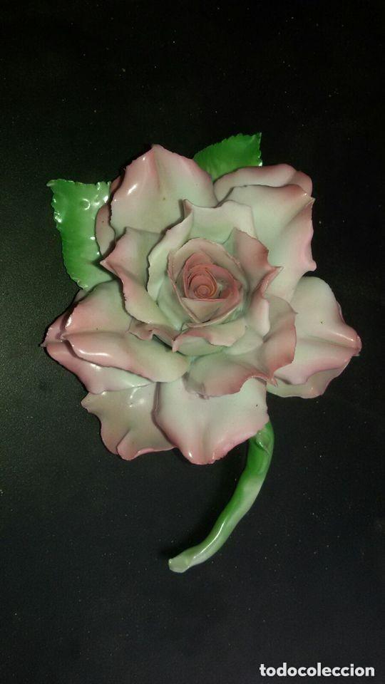 Coleccionismo: flor o rosa capodimonti limonges - Foto 2