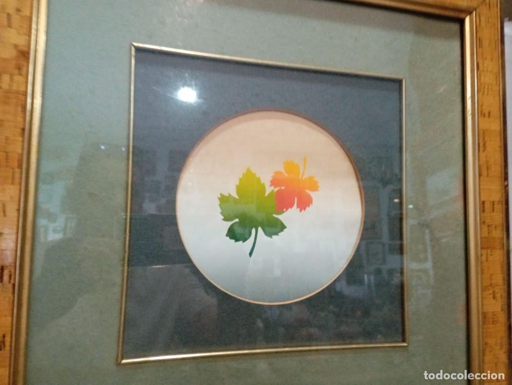 Coleccionismo: cuadro con lamina de hojas - Foto 2