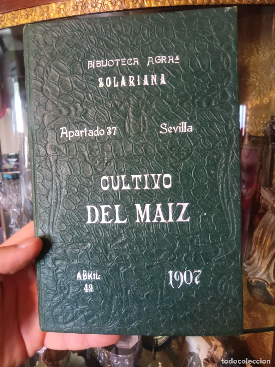 Collectionnisme: Cultivo del maiz 1907