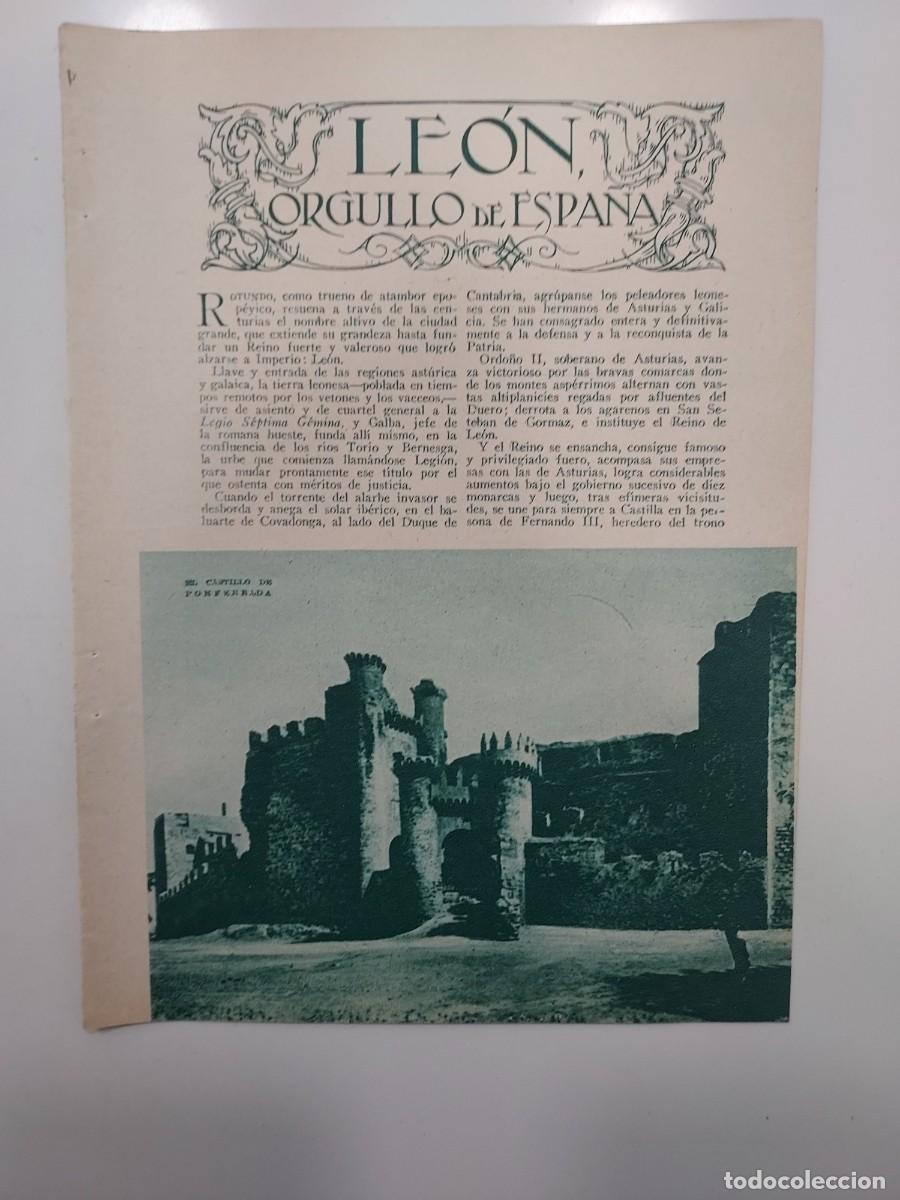 Coleccionismo: HBYN Recorte revista a&ntilde;o 1934. LE&Oacute;N ORGULLO DE ESPA&Ntilde;A. Blanco-Belmonte. Fotos. 3 hojas