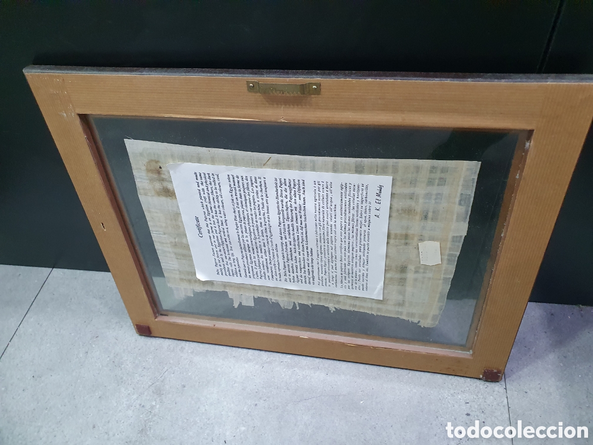 Coleccionismo: Papiro enmarcado con Certificado. (L99) - Foto 3