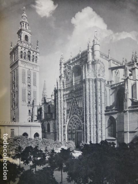 Coleccionismo: SEVILLA CATEDRAL ANTIGUA LAMINA IMPRESA AL HUECOGRABADO A&Ntilde;OS 50