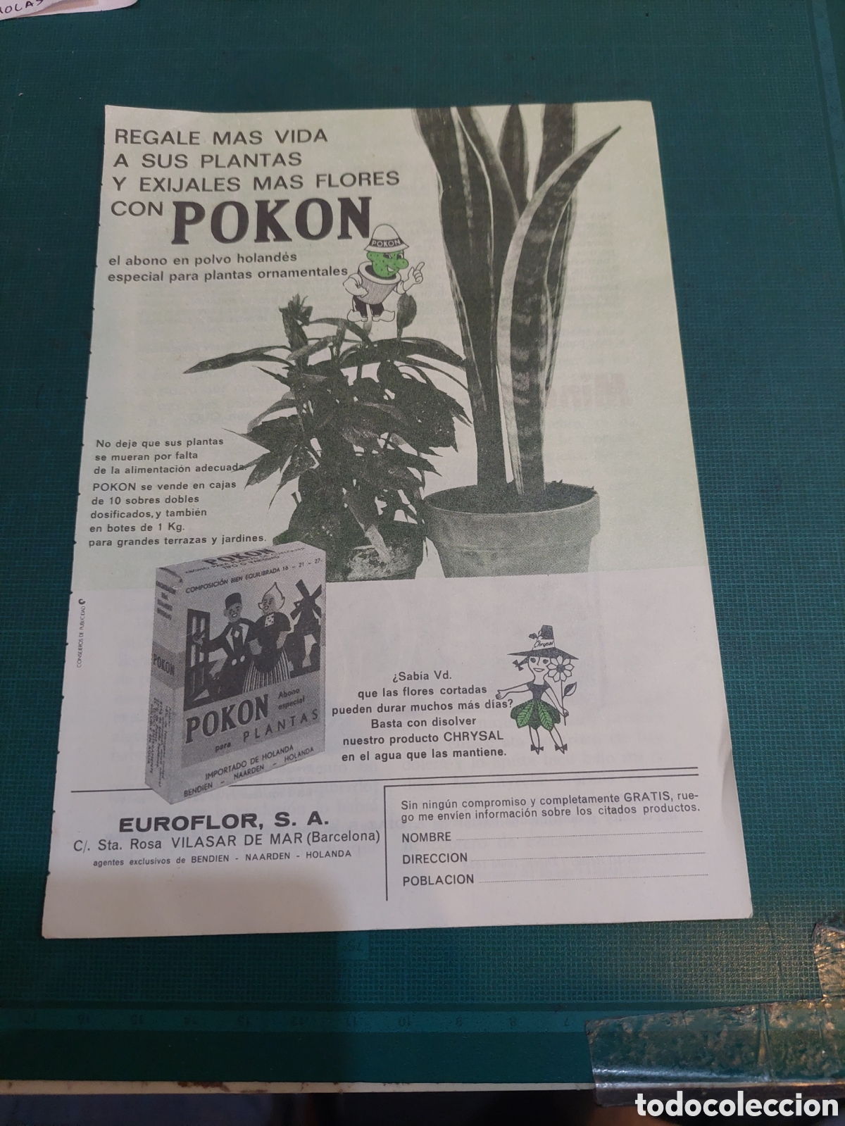 Collezionismo: POKON EUROFLOR PLANTAS ABONO L&Aacute;MINA