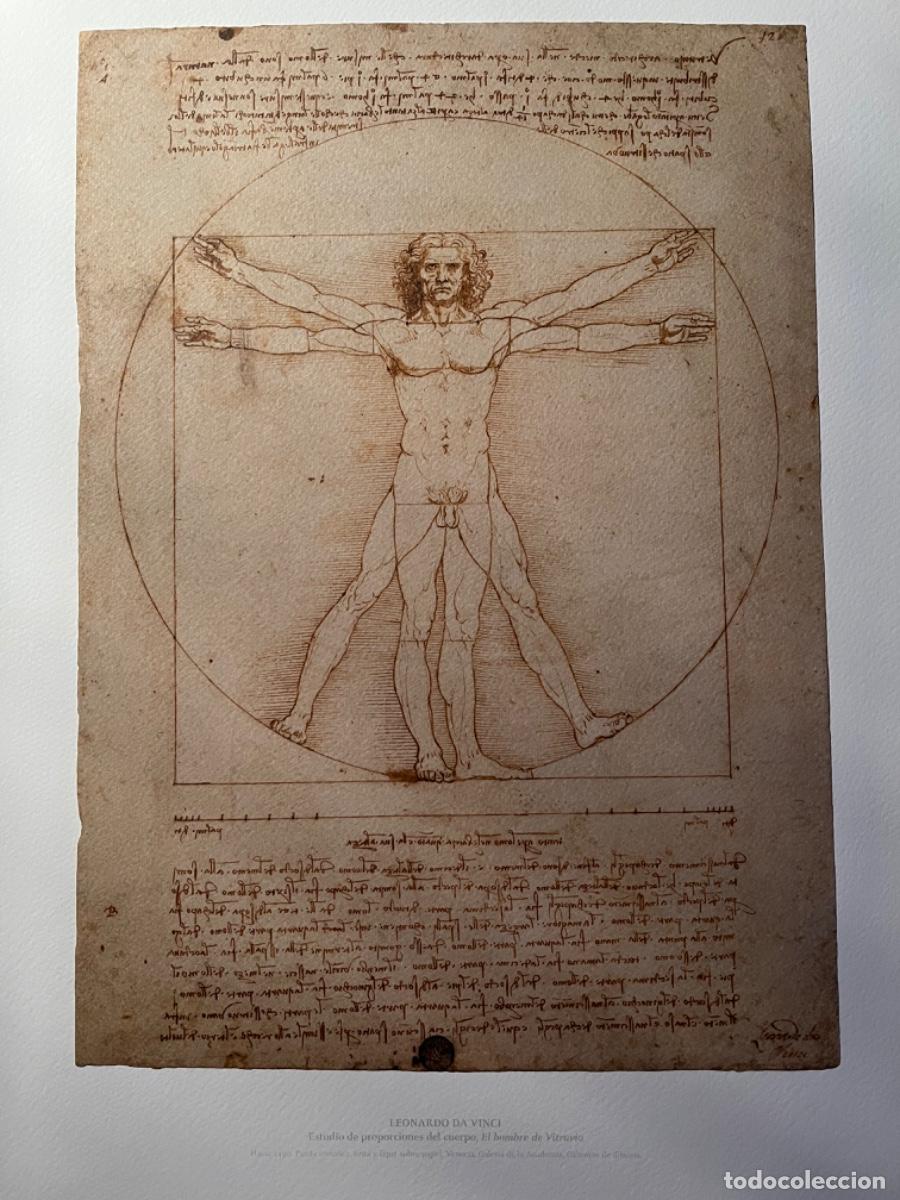 Coleccionismo: Leonardo Da Vinchi serie Amboise Skell-art