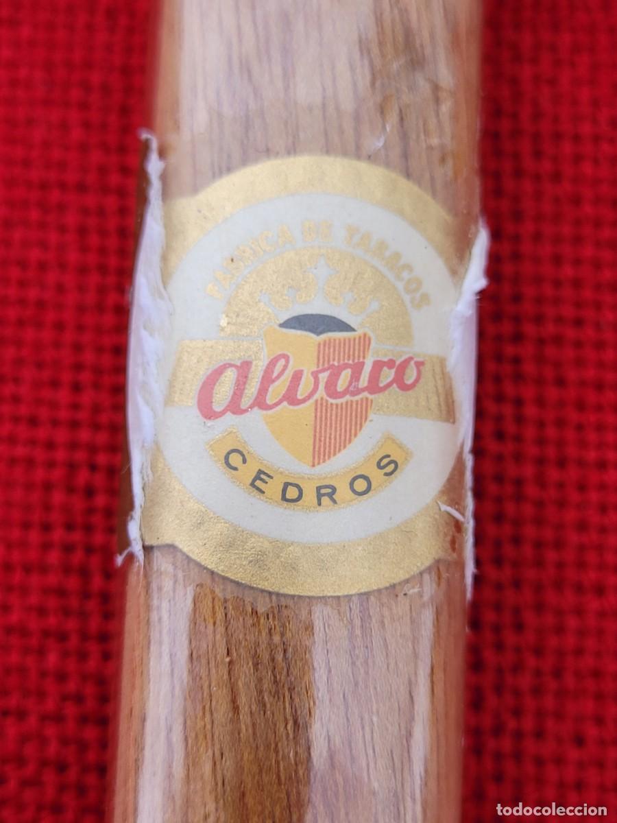 Coleccionismo: Cigarro Alvaro, 14 cm. - Foto 2