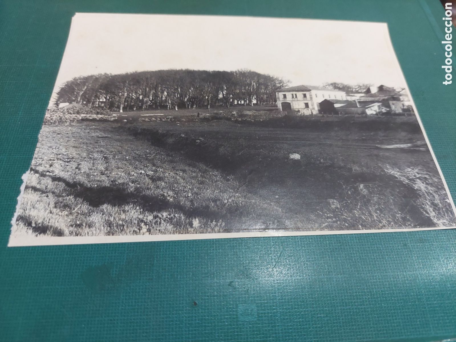 Sammelleidenschaft Papier: Cromo l&aacute;mina dehesa escairon o savi&ntilde;ao lugo