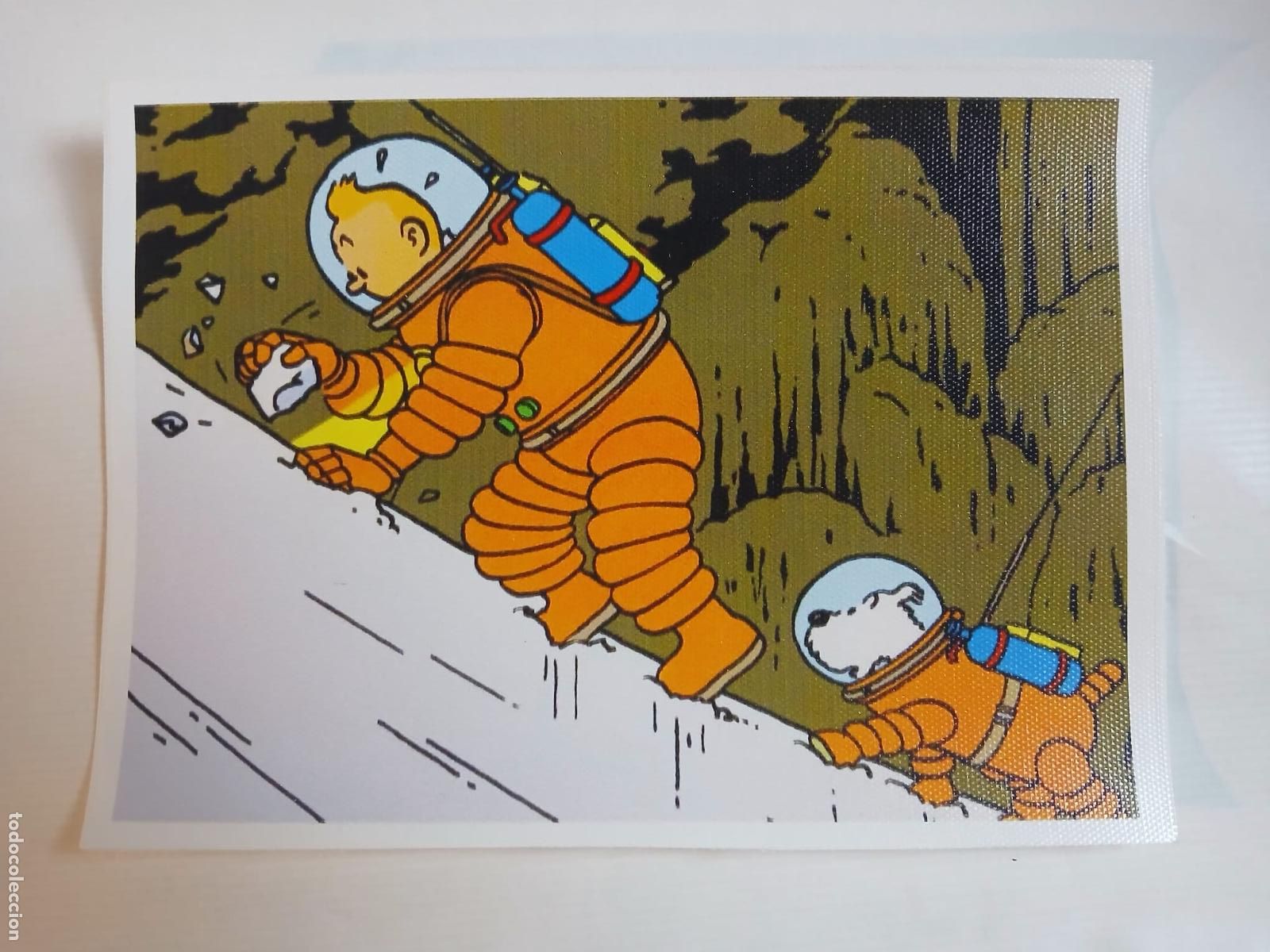 Coleccionismo: TINTIN - L&aacute;mina 14,5 cm. X 19,5 cm. (aprox.)