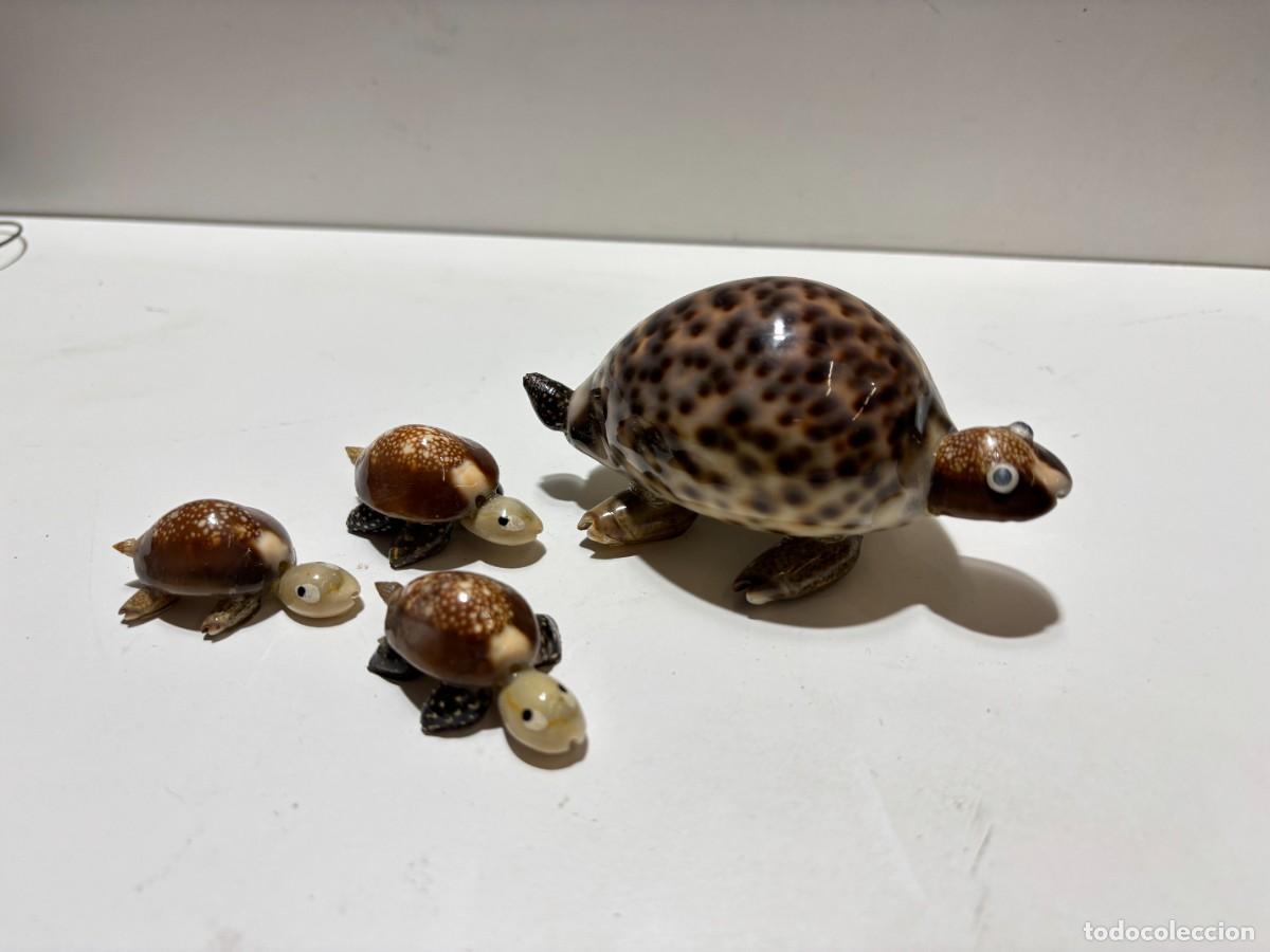 Coleccionismo: TORTUGAS CARACOLA NATURAL GRANDE 6X12X5 PEQUE&Ntilde;AS