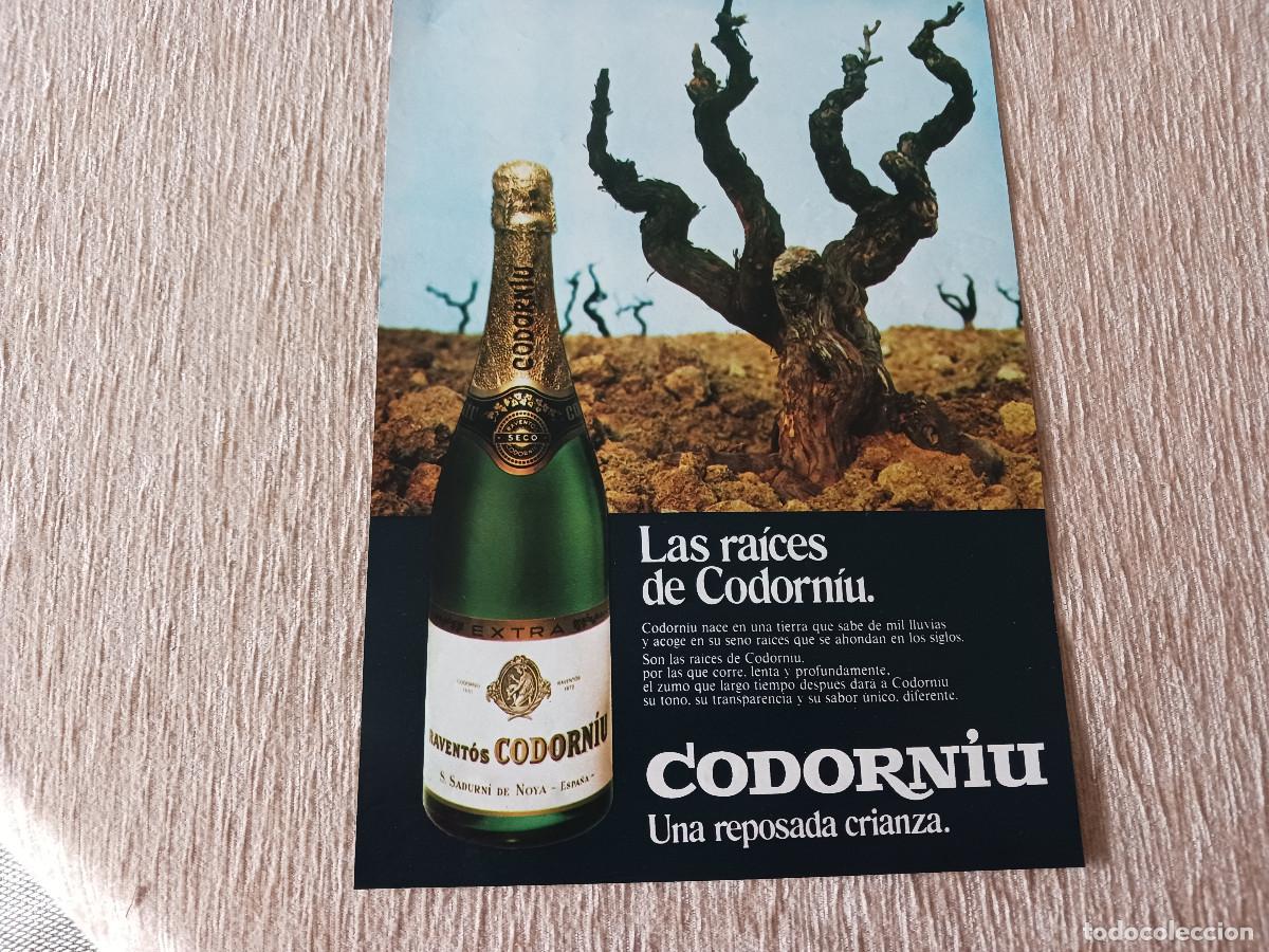 Coleccionismo: anuncio de cava codorniu, las raices de codorniu - Foto 1