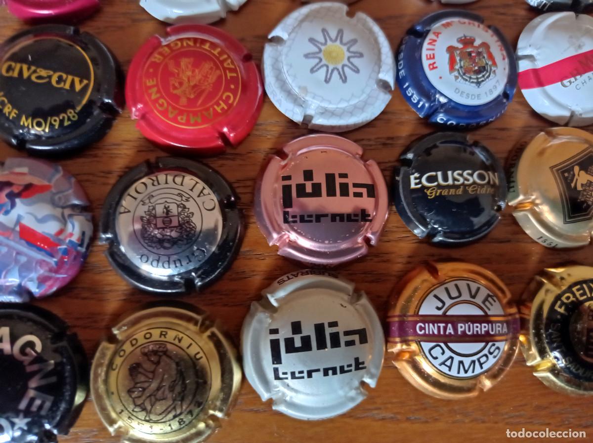 Coleccionismo: COLECCION DE 104 CHAPAS DE CAVA - Foto 2