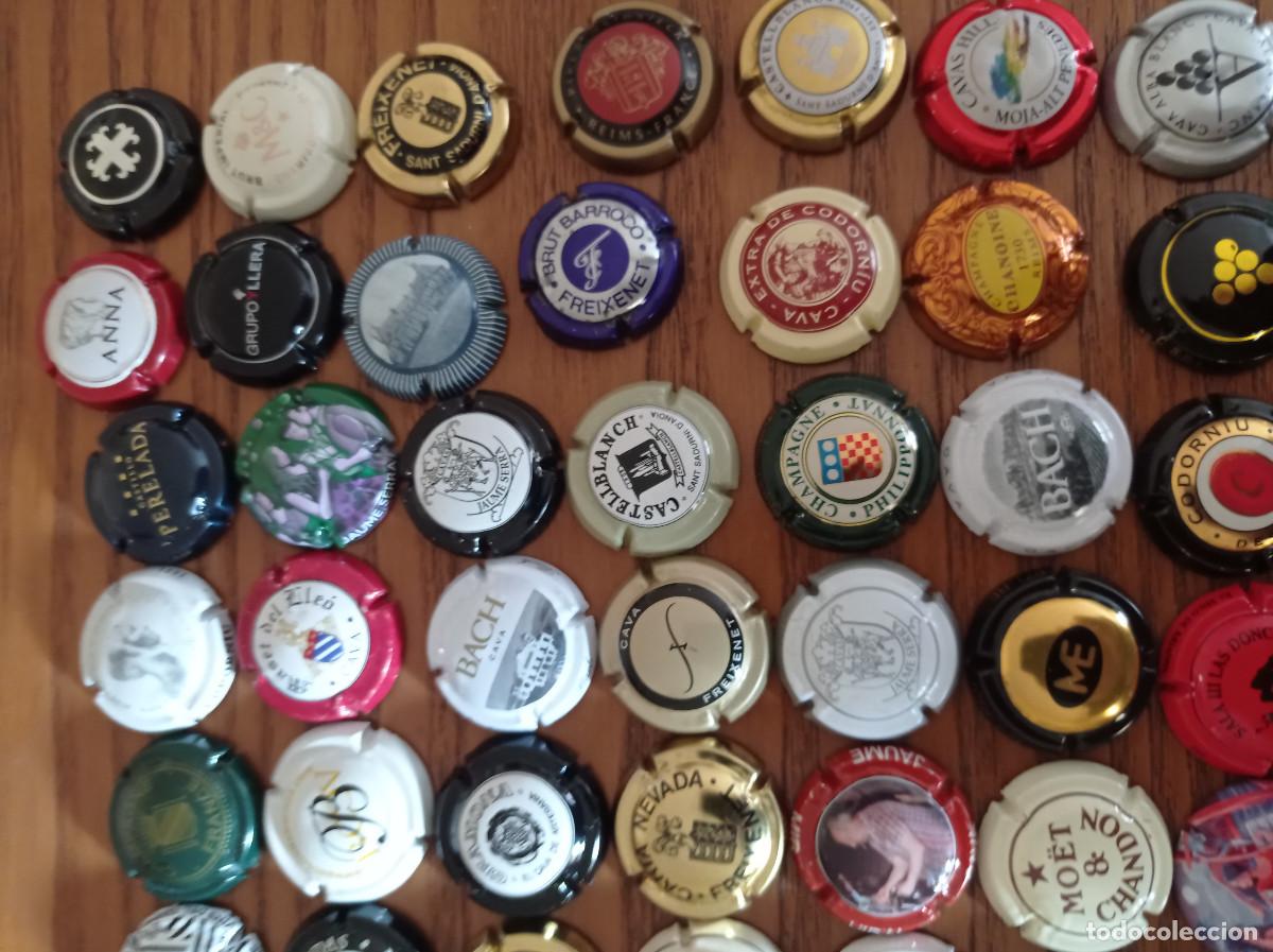 Coleccionismo: COLECCION DE 104 CHAPAS DE CAVA - Foto 3
