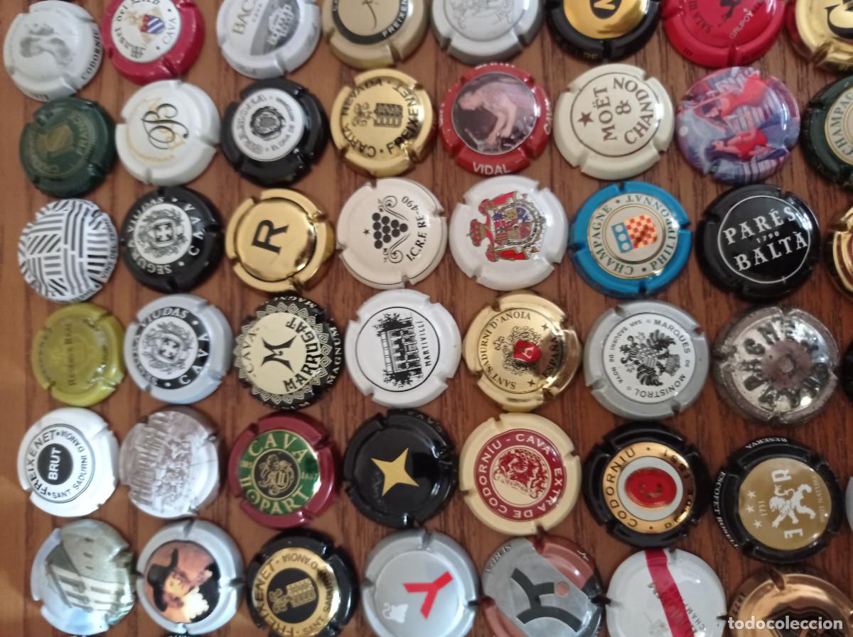Coleccionismo: COLECCION DE 104 CHAPAS DE CAVA - Foto 4
