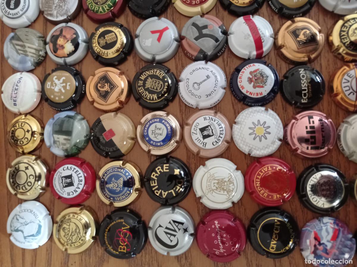 Coleccionismo: COLECCION DE 104 CHAPAS DE CAVA - Foto 5