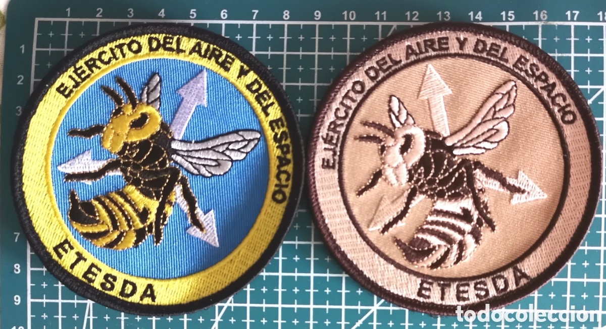 Coleccionismo: Lote 2 Parches ETESDA ESCUELA T&Eacute;CNICAS SEGURIDAD, DEFENSA, APOYO EJ&Eacute;RCITO &Aacute;IRE Y DEL ESPACIO. ESPA&Ntilde;A