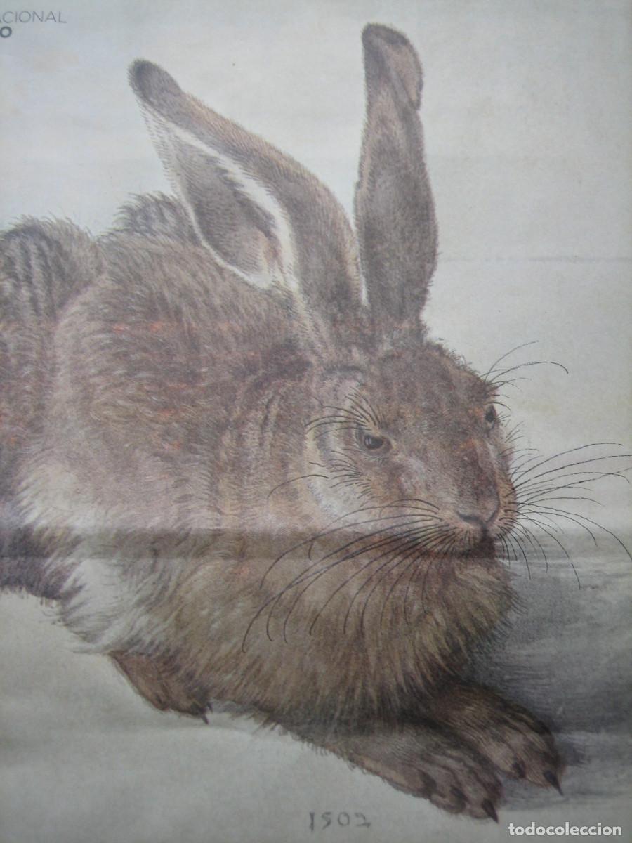 Coleccionismo: BOLSA. ALBERTO DURERO. OBRAS MAESTRAS DE LA ALBERTINA. EXPOSICI&Oacute;N MUSEO NACIONAL DEL PRADO. 2005.
