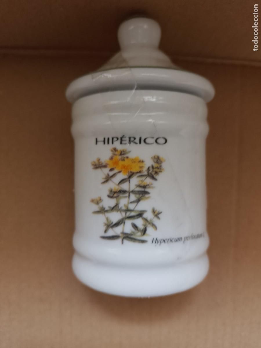 Coleccionismo: MINIATURA ALBARELO HIP&Eacute;RICO - Foto 1
