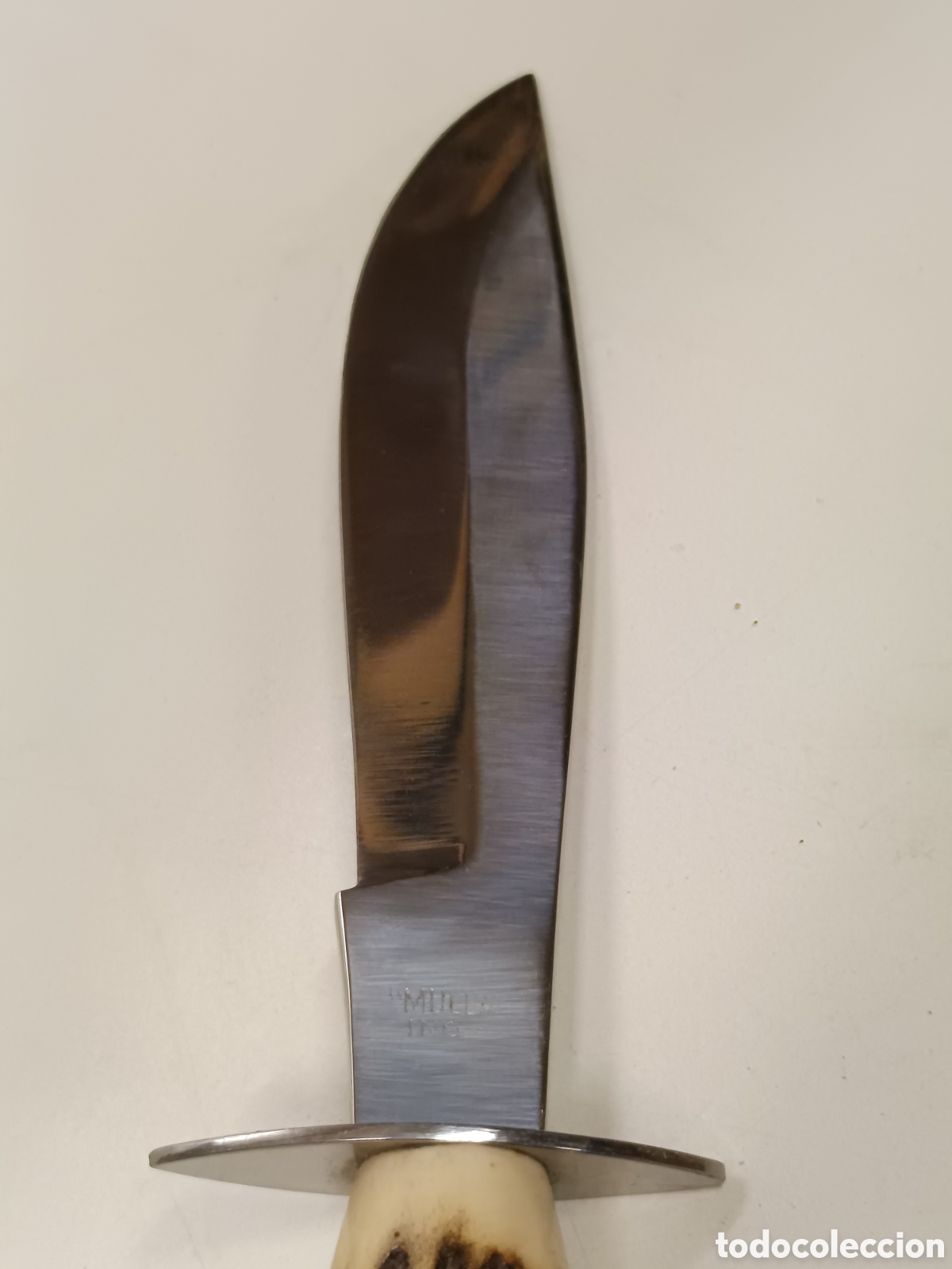 Coleccionismo: Cuchillo Muela 24cm asta cuerna ciervo - Foto 3