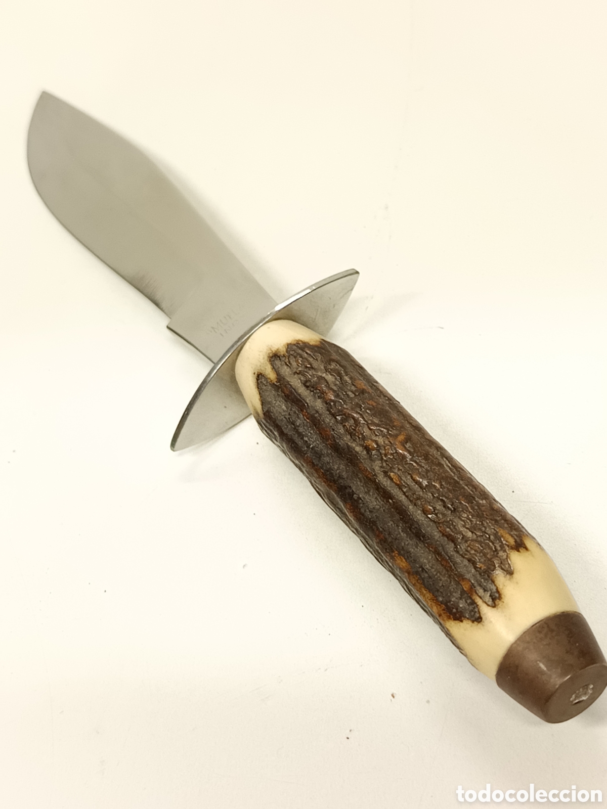 Coleccionismo: Cuchillo Muela 24cm asta cuerna ciervo - Foto 5