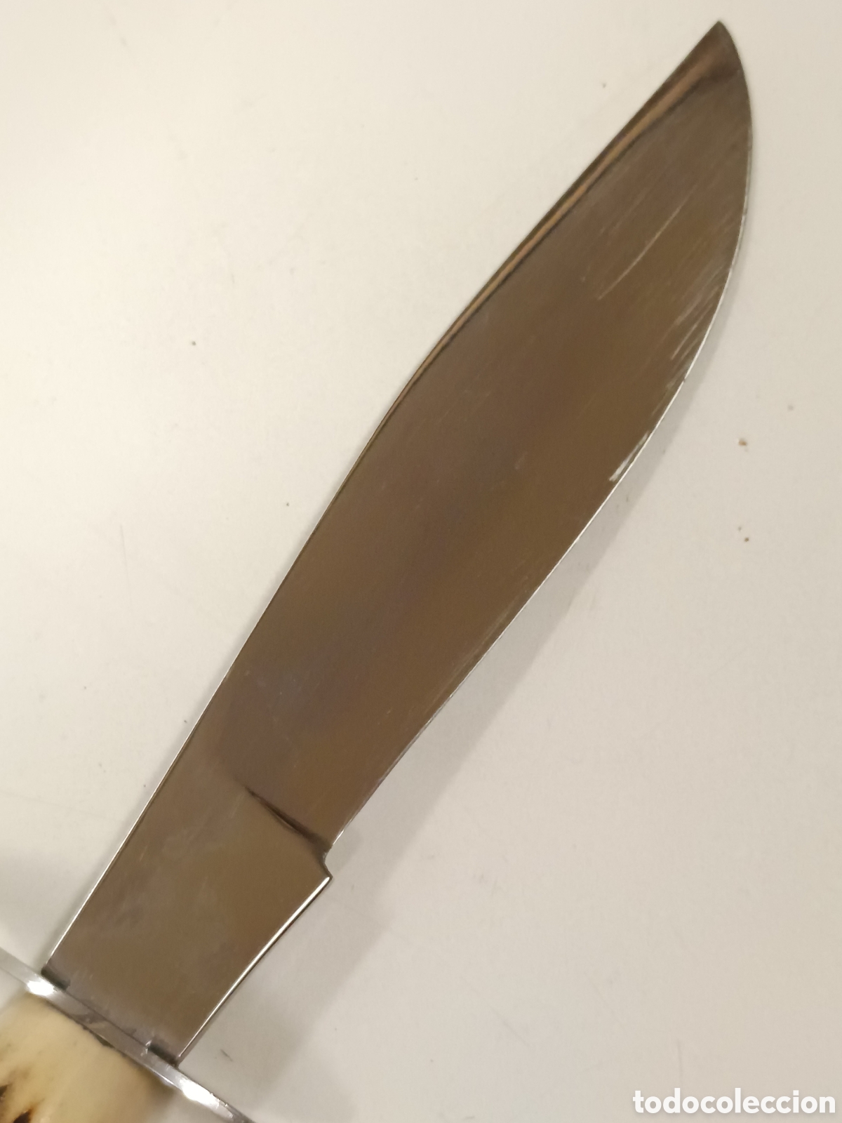 Coleccionismo: Cuchillo Muela 24cm asta cuerna ciervo - Foto 7