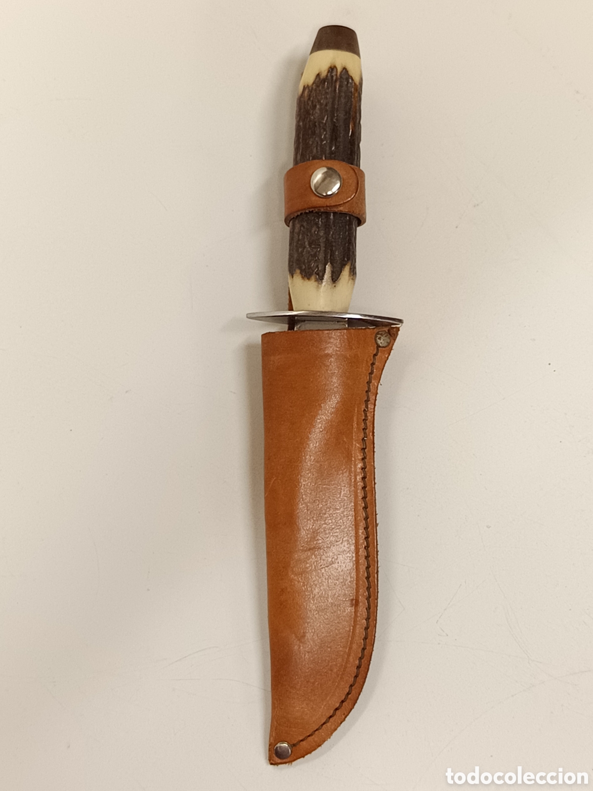 Coleccionismo: Cuchillo Muela 24cm asta cuerna ciervo - Foto 1