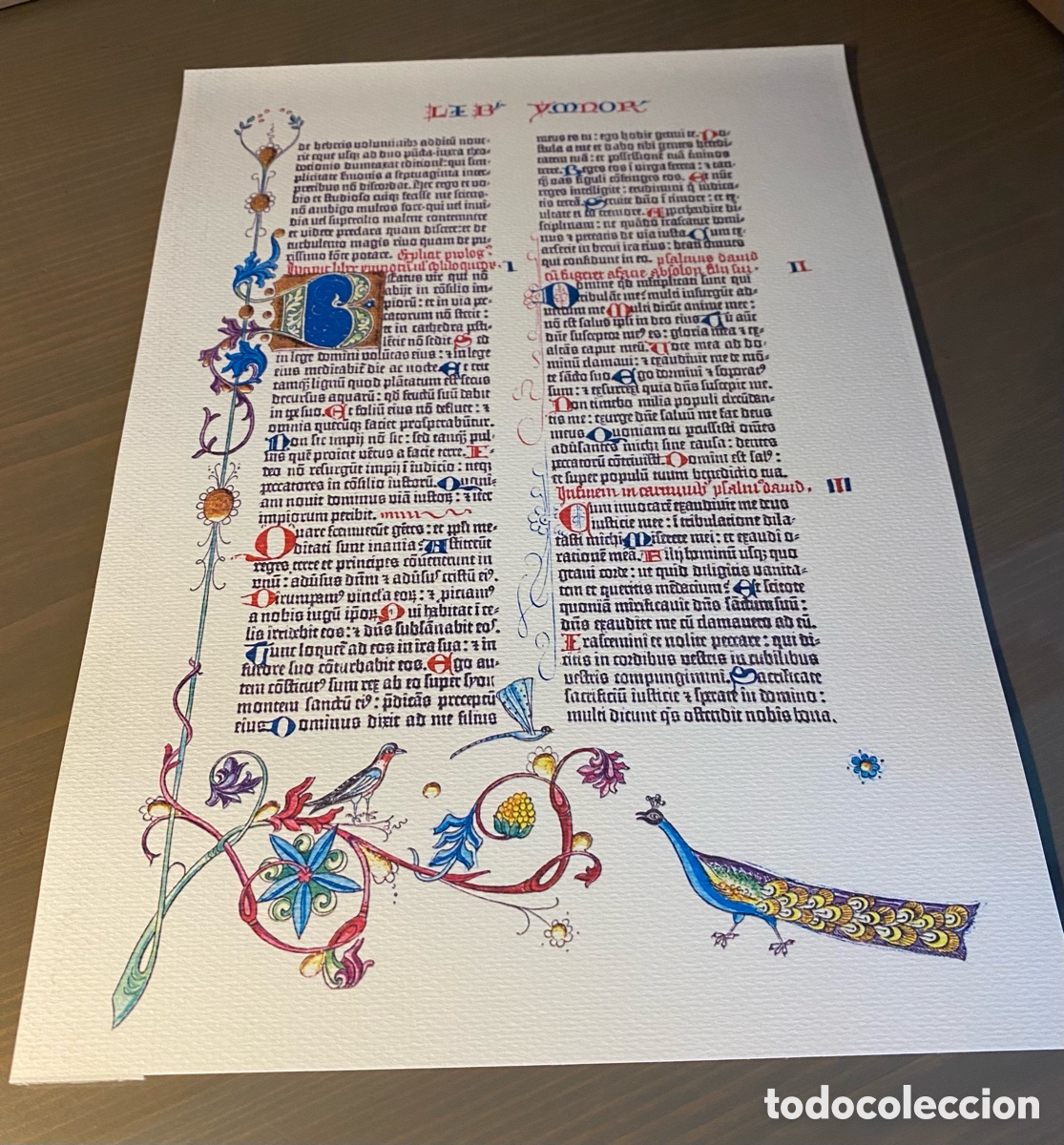 Coleccionismo: Reproducci&oacute;n de p&aacute;gina de la biblia de Gutenberg