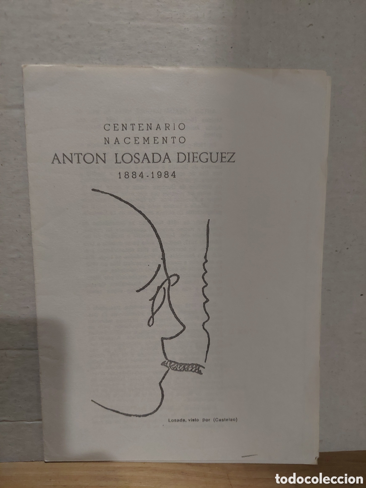 Collezionismo: 1985 MUSEO pueblo gakego anton losada diguez DIPTICO