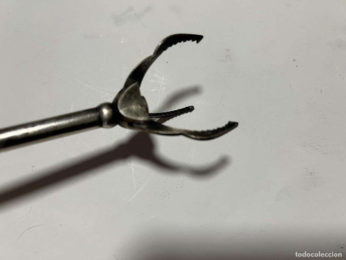 Coleccionismo: pinza para cubitos de hielo y azucar - Foto 4