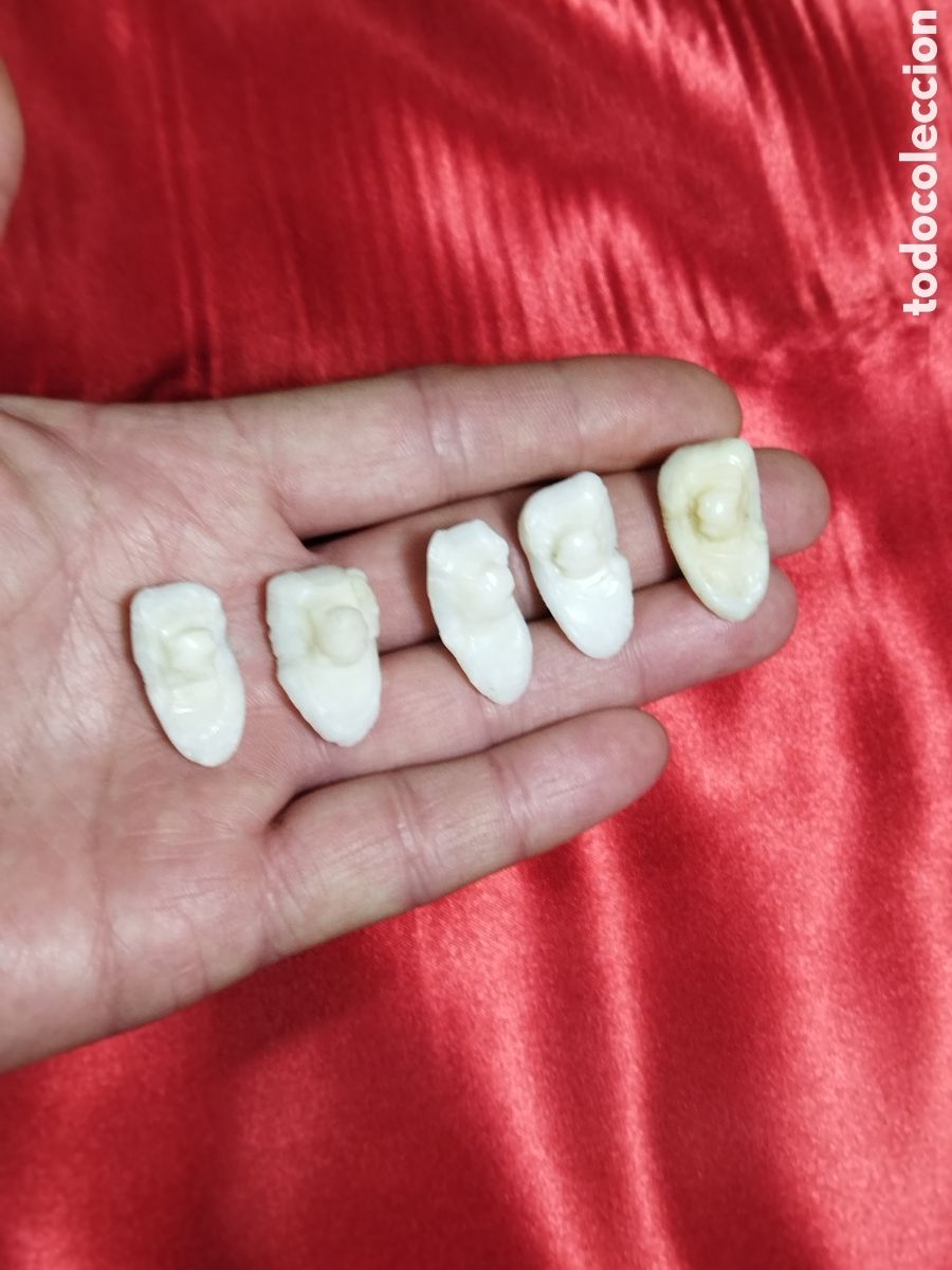 Coleccionismo: Huesos corvina grandes - Foto 3