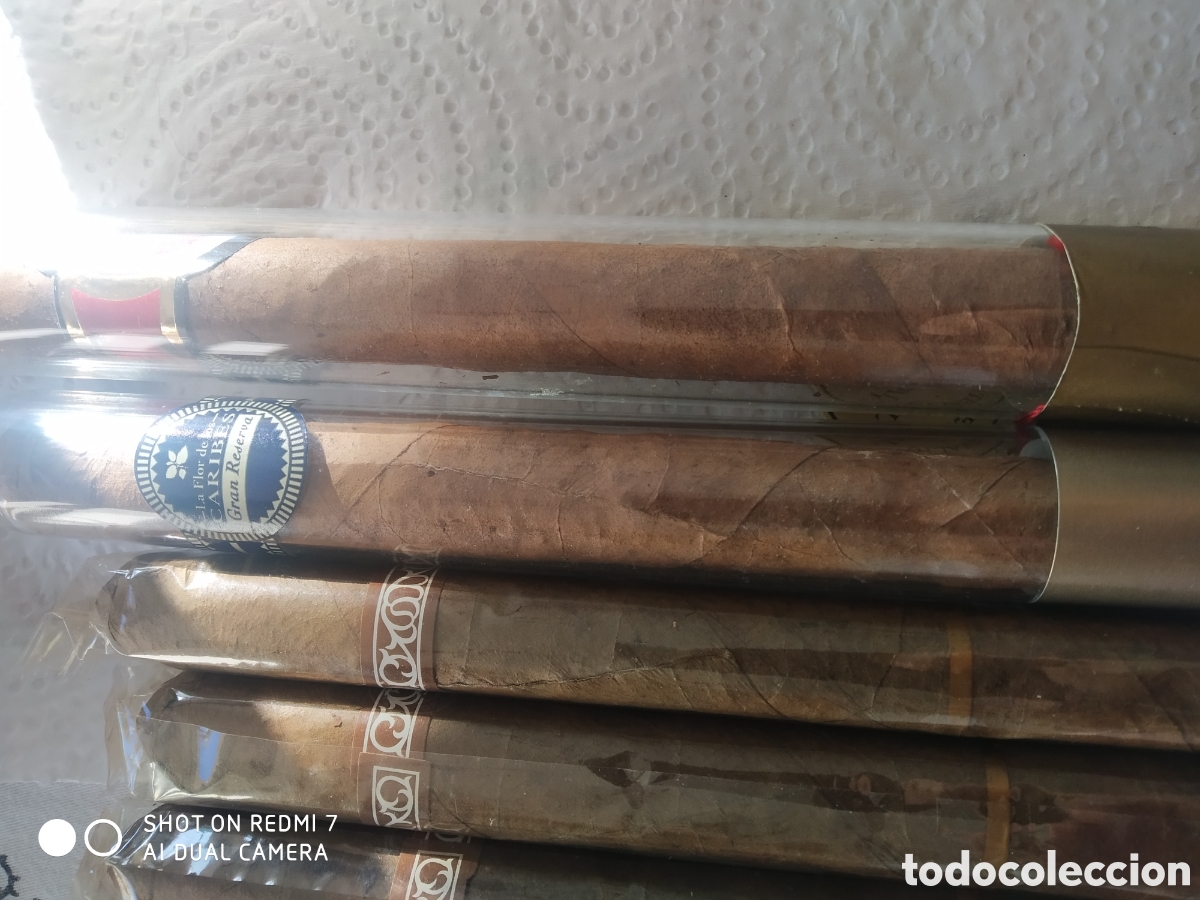 Coleccionismo: Lote 6 puros varias marcas. - Foto 4