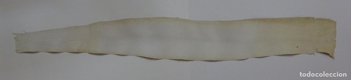 Coleccionismo: PIEL DE SERPIENTE SIN IDENTIFICAR. PIEL CURTIDA - Foto 5