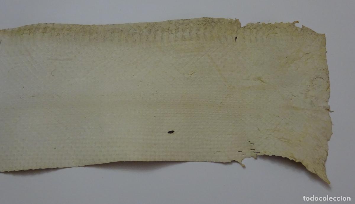 Coleccionismo: PIEL DE SERPIENTE SIN IDENTIFICAR. PIEL CURTIDA - Foto 6