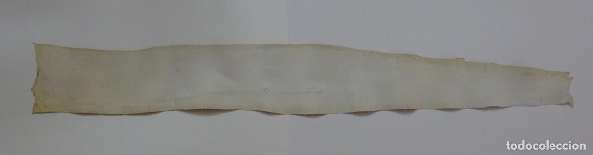 Coleccionismo: PIEL DE SERPIENTE SIN IDENTIFICAR. PIEL CURTIDA - Foto 5