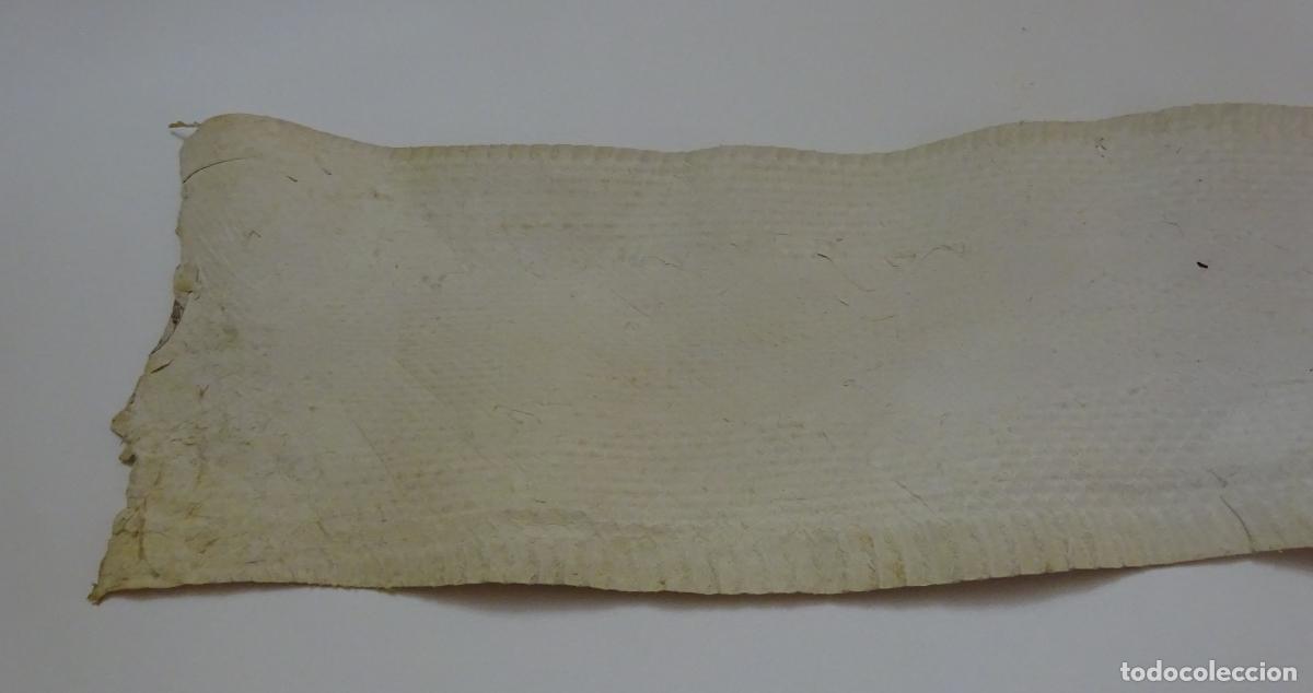 Coleccionismo: PIEL DE SERPIENTE SIN IDENTIFICAR. PIEL CURTIDA - Foto 6