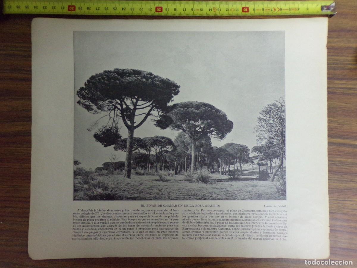 Coleccionismo: lamina antigua a dos caras. casa de los guzmanes, le&oacute;n / pinar de chamartin de la rosa, madrid