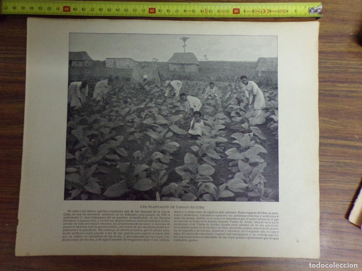 Collezionismo: lamina antigua dos caras. plantaci&oacute;n tabaco, cuba/ catedral de la habana
