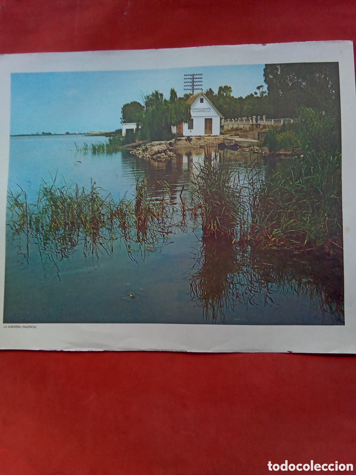 Collezionismo: L&Aacute;MINAS PARA CUADROS .LA ALBUFERA (VALENCIA)