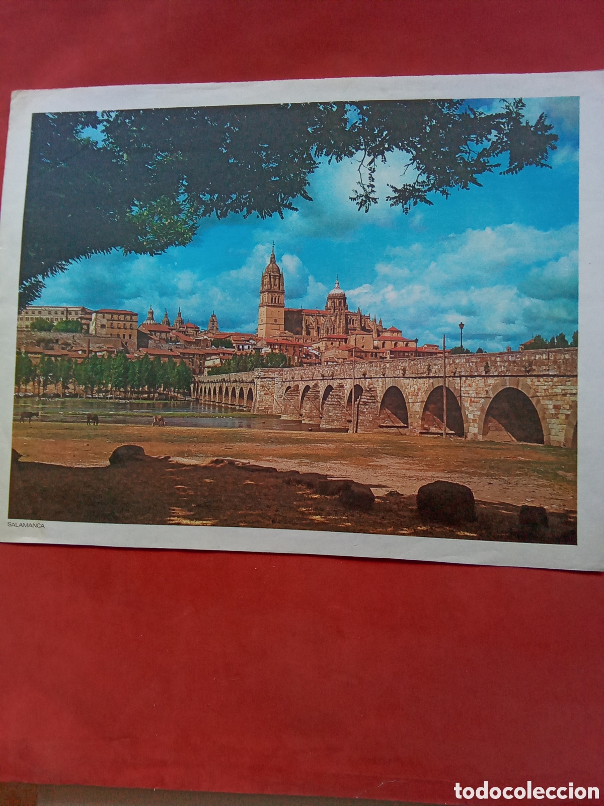 Coleccionismo: L&Aacute;MINAS PARA CUADROS .SALAMANCA