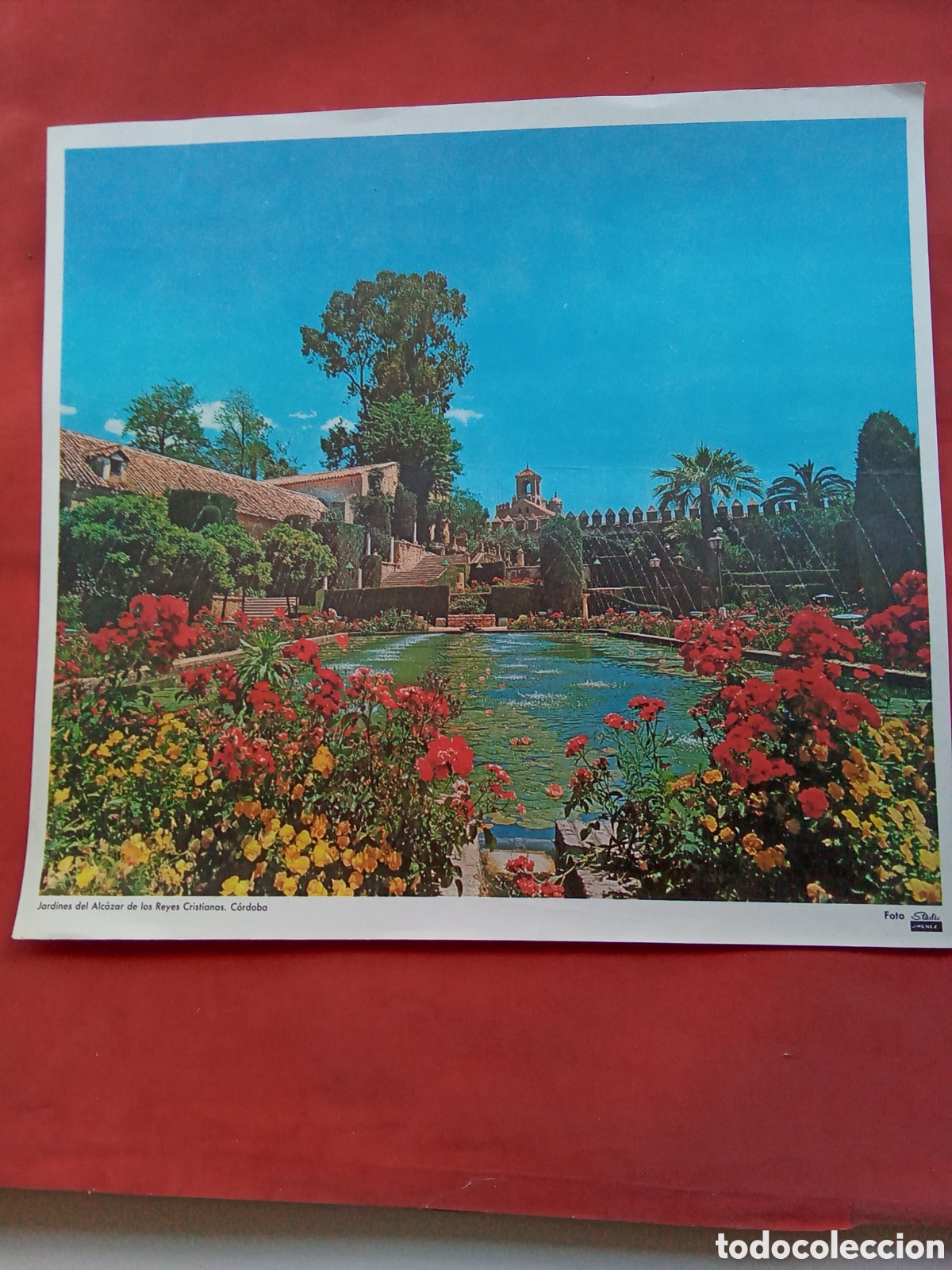 Coleccionismo: L&Aacute;MINAS PARA CUADROS . JARDIN DEL ALC&Aacute;ZAR DE LOS REYES CRISTIANOS (C&Oacute;RDOBA )