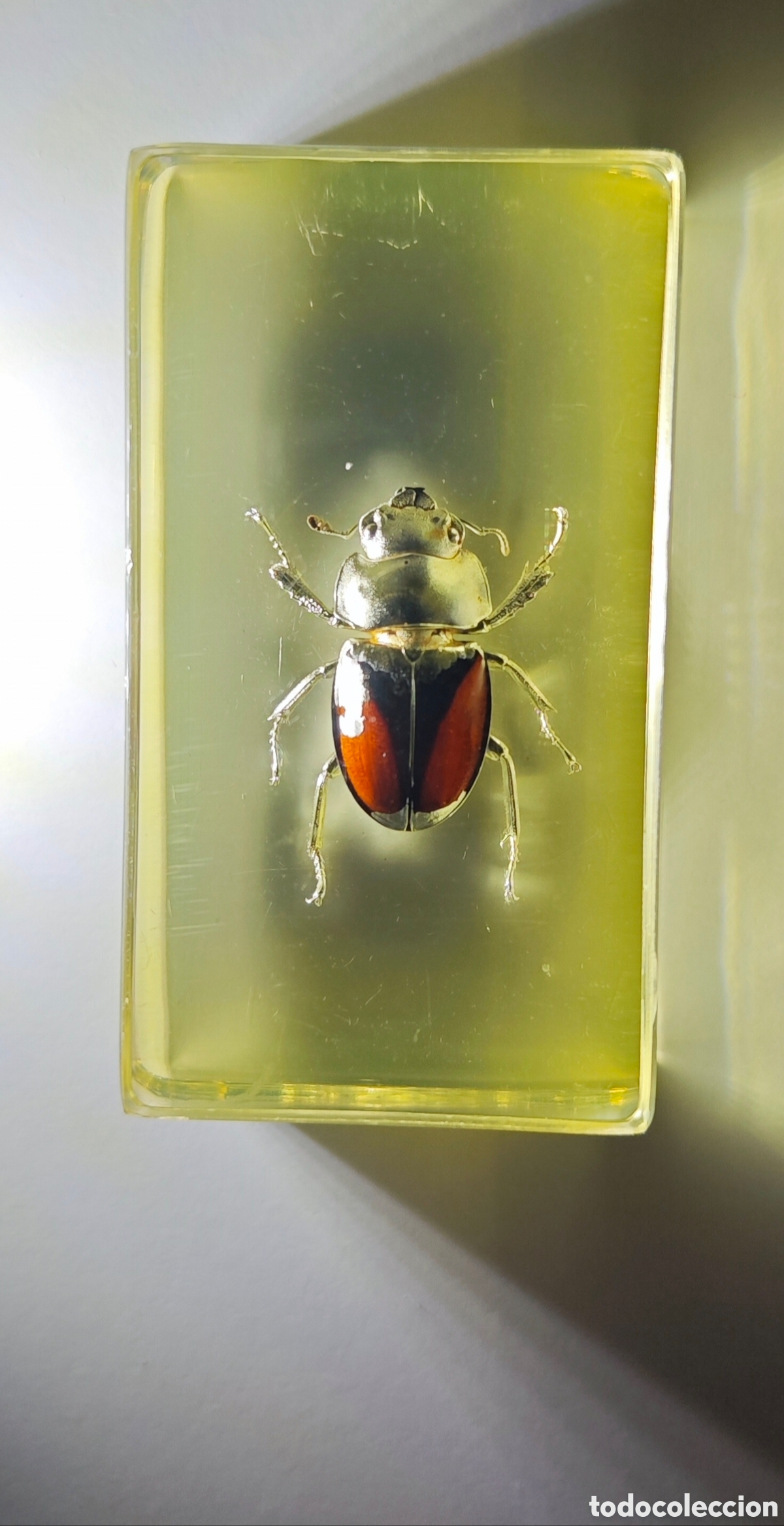 Coleccionismo: BICHOS RBA CIERVO VOLANTE ASIATICO resina